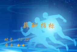 【E9】薪酬指标