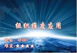 【E9】组织维度应用