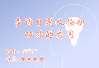 【E9】查询自定义按钮功能的应用