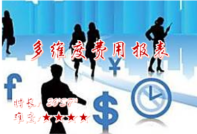【E9】多维度费用报表