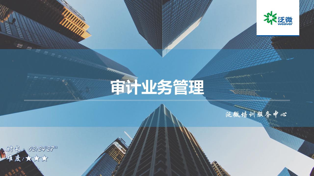 【E9】审计业务管理